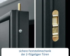 EcoStar Gerätehaus Trend-P Typ 1 anthrazitgrau 247,9 x 153 x 228,6 cm