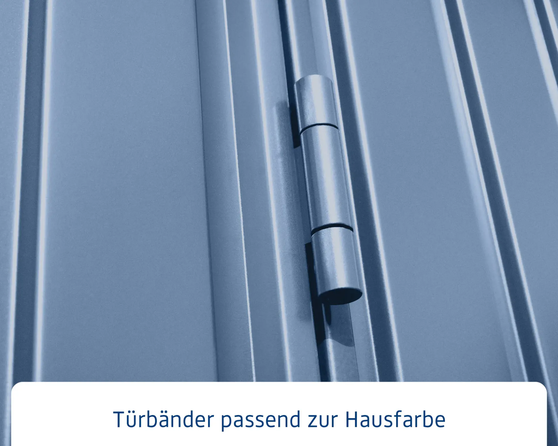 EcoStar Gerätehaus Trend-P Typ 3 312,7 x 283,4 x 232,3 cm taubenblau