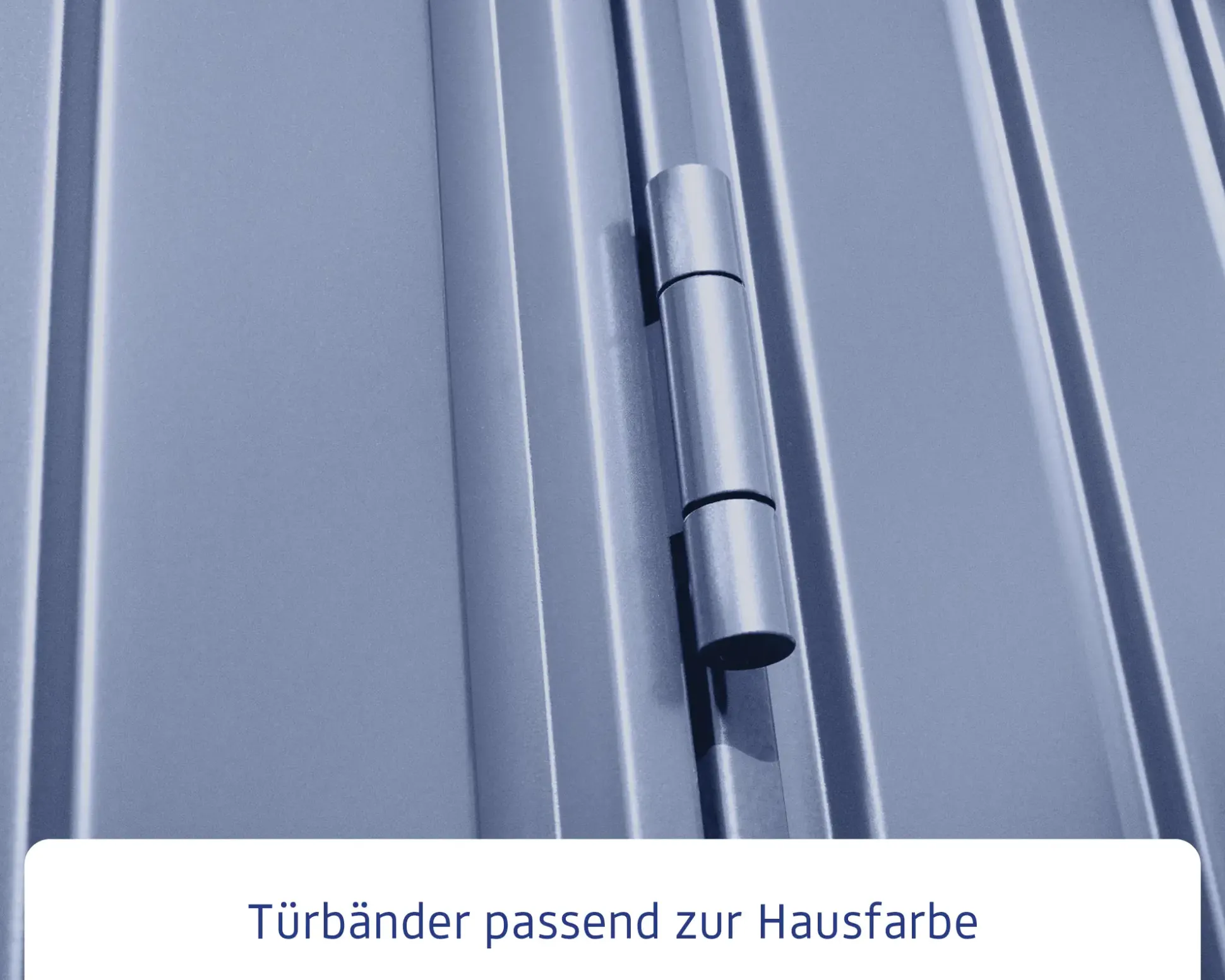 EcoStar Gerätehaus Trend-S Typ 3 323,6 x 247,7 x 219,4 cm taubenblau