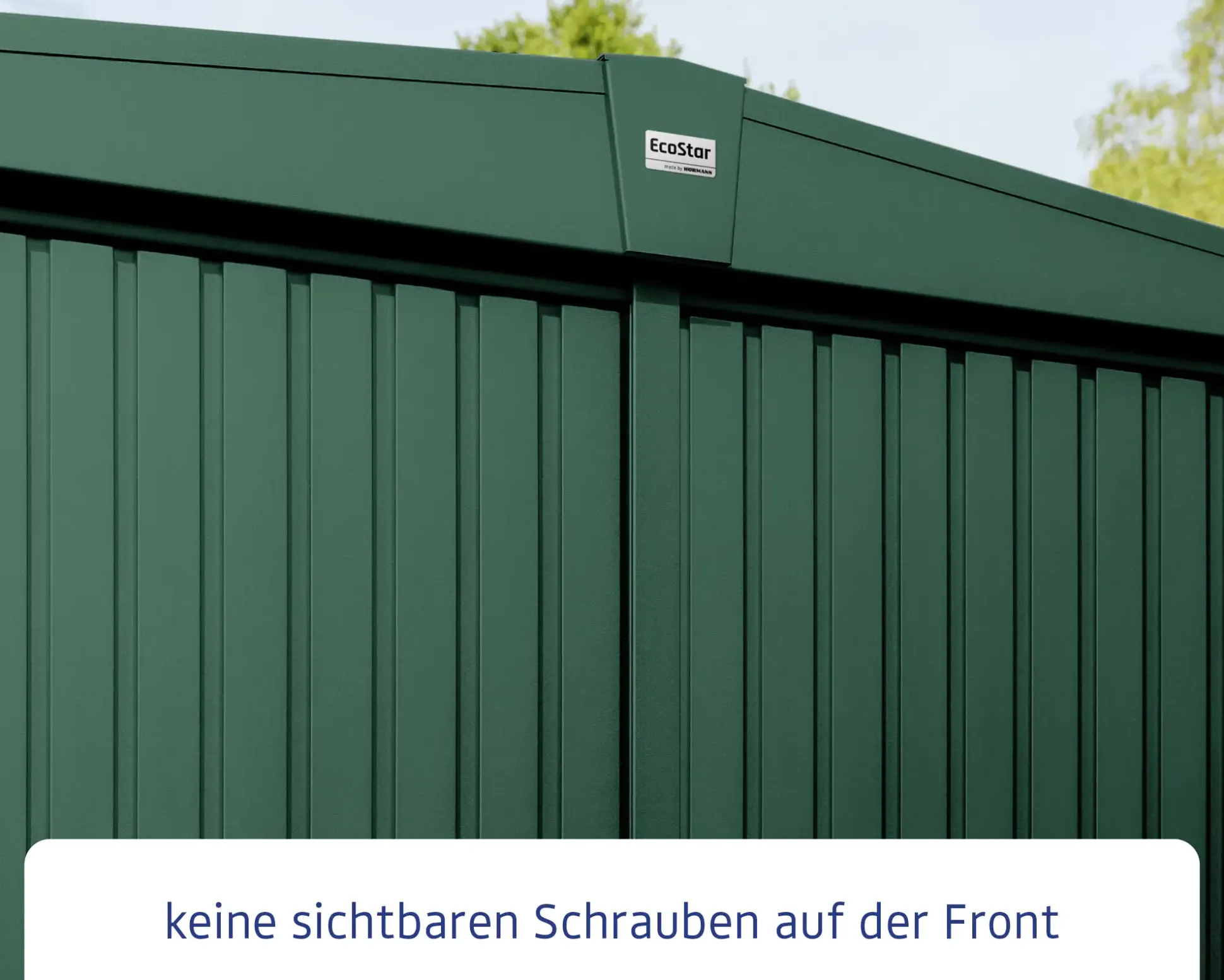 EcoStar Gerätehaus Trend-S Typ 2 258,8 x 247,7 x 216 cm moosgrün
