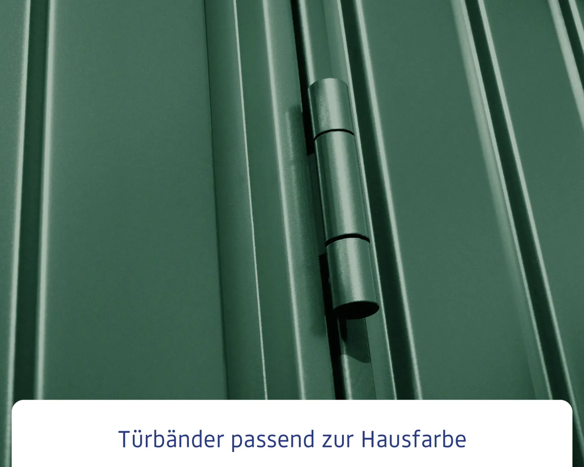 EcoStar Gerätehaus Trend-S Typ 2 258,8 x 247,7 x 216 cm moosgrün