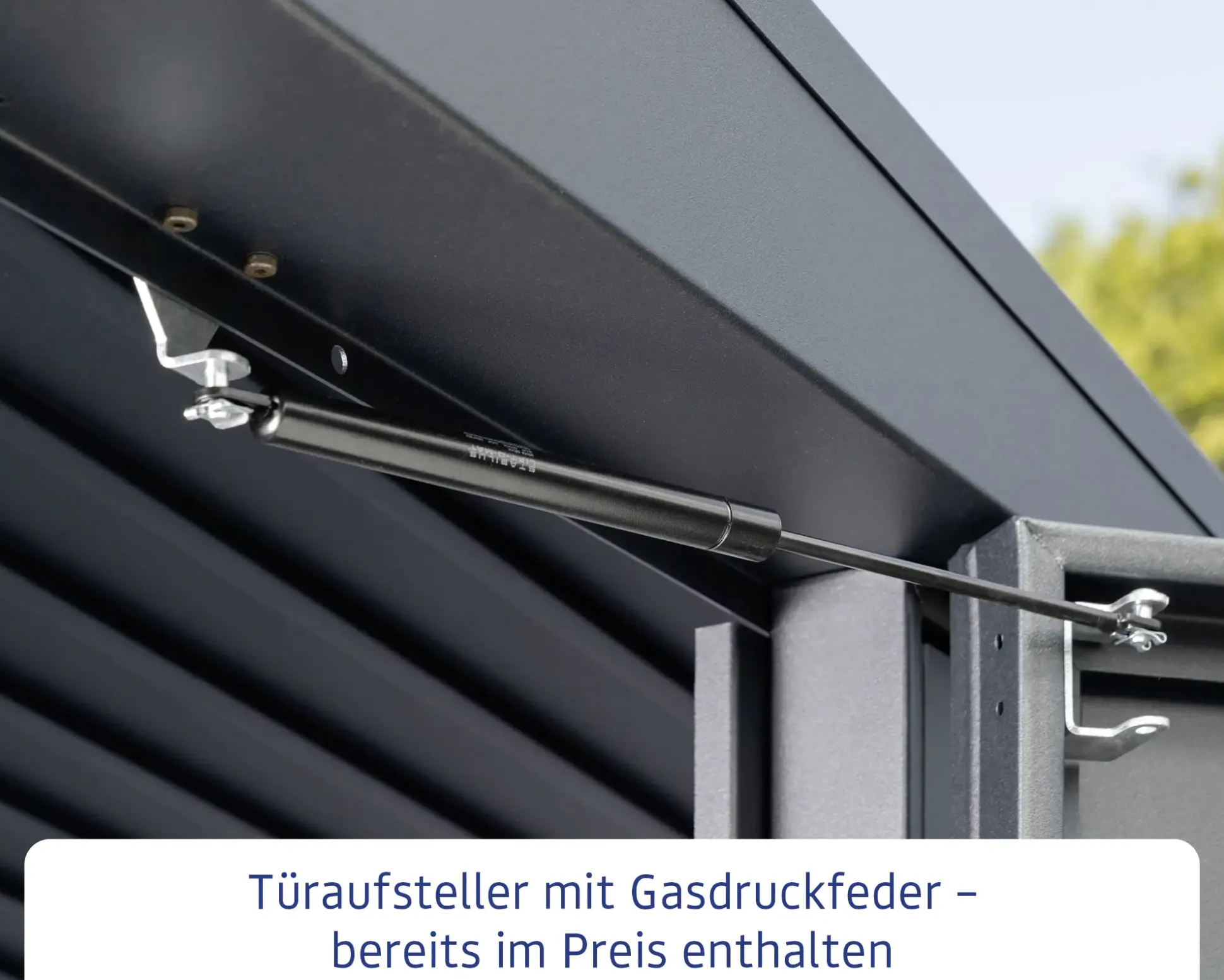EcoStar Gerätehaus Trend-S Typ 2 258,8 x 247,7 x 216 cm anthrazitgrau