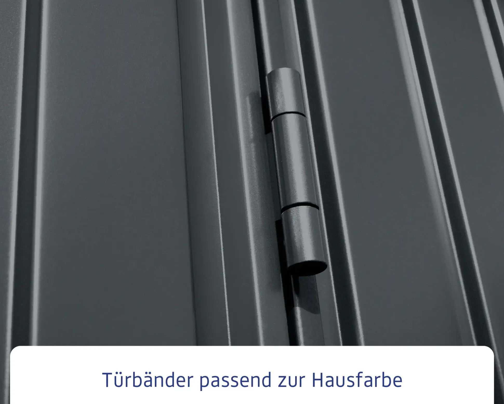 EcoStar Gerätehaus Trend-S Typ 2 258,8 x 247,7 x 216 cm anthrazitgrau