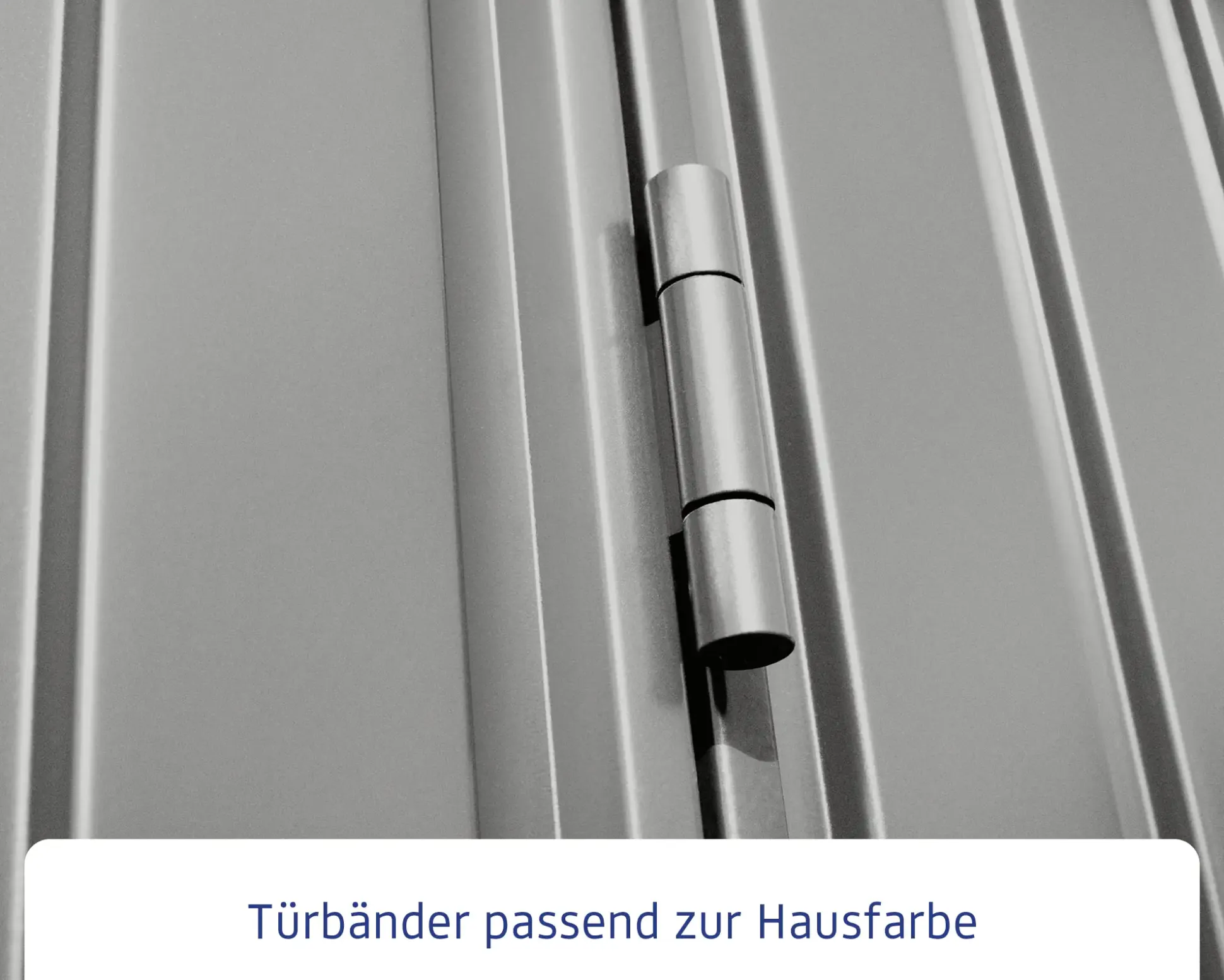 EcoStar Gerätehaus Trend-S Typ 2 258,8 x 247,7 x 216 cm graualuminium