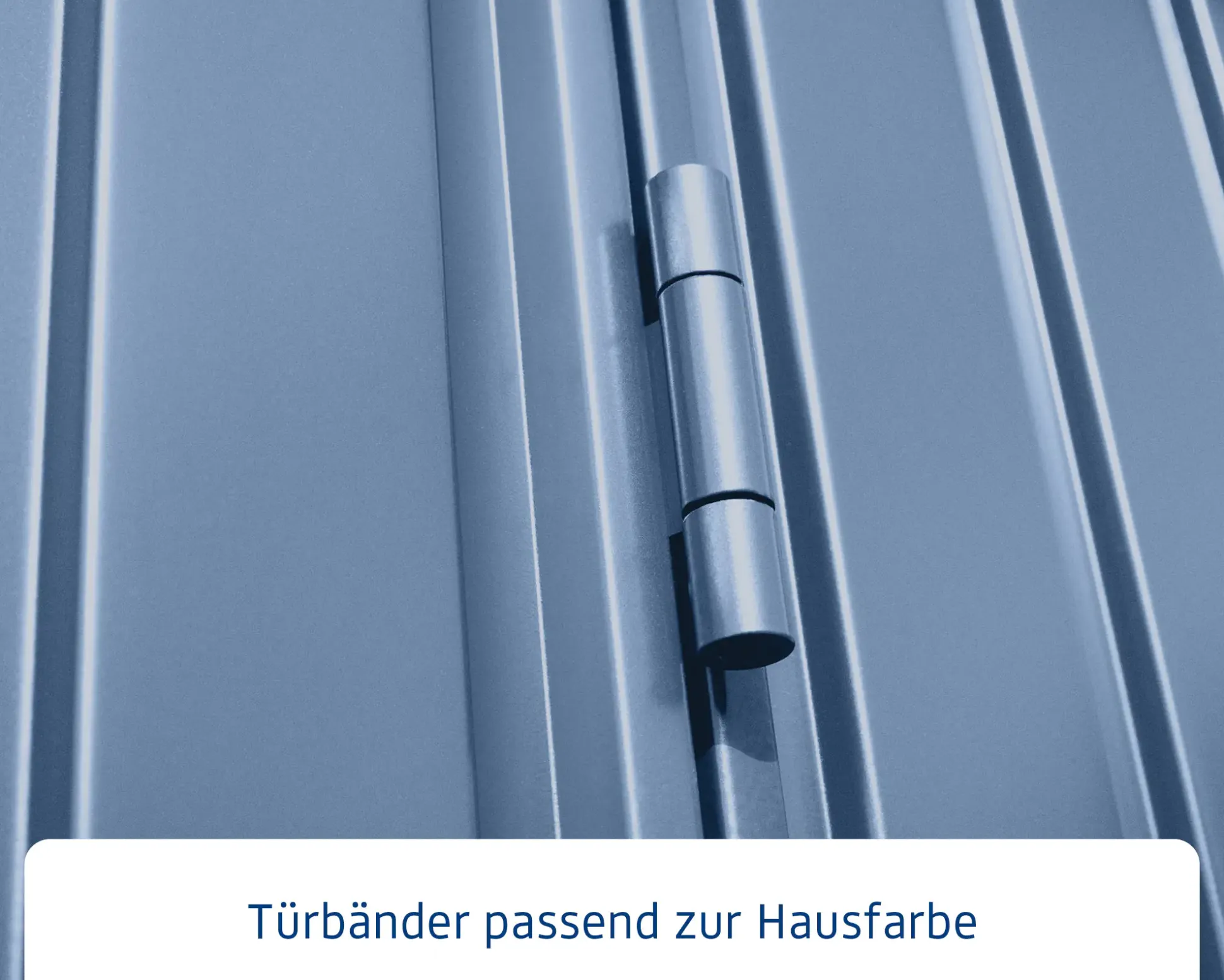EcoStar Gerätehaus Trend-S Typ 3 323,6 x 247,7 x 219,4 cm taubenblau