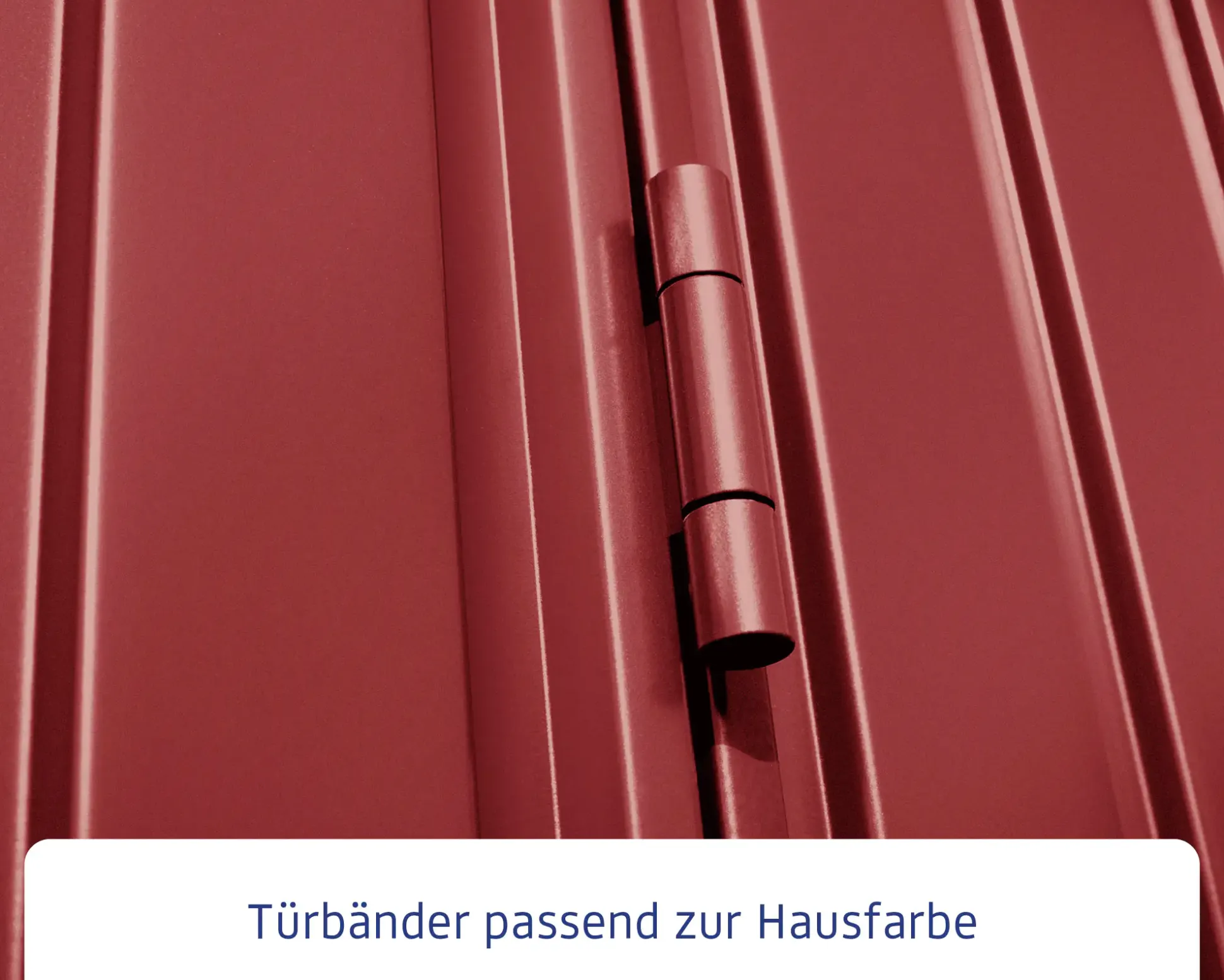 EcoStar Gerätehaus Trend-S Typ 2 258,8 x 247,7 x 216 cm v