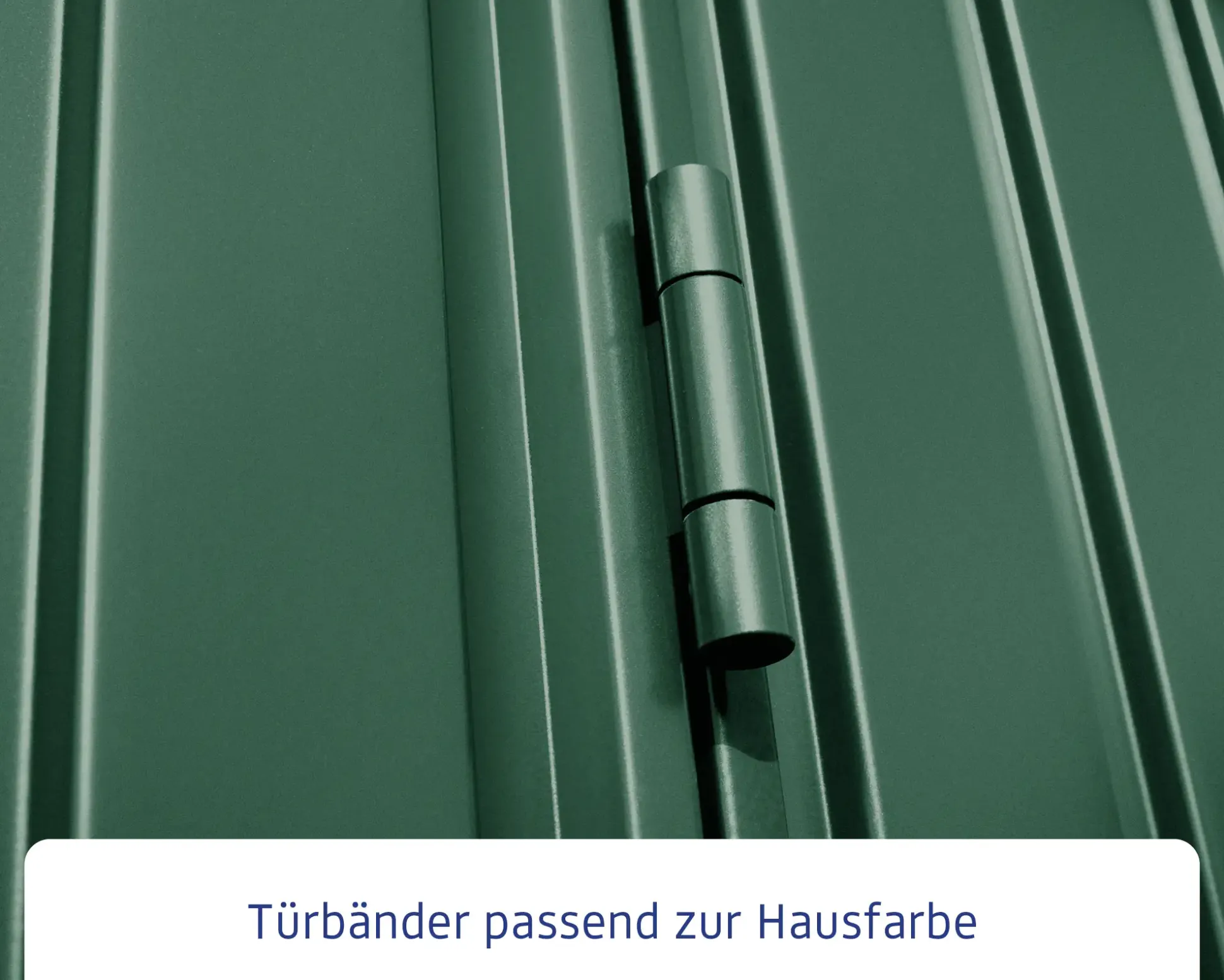 EcoStar Gerätehaus Trend-S Typ 3 323,6 x 247,7 x 219,4 cm moosgrün