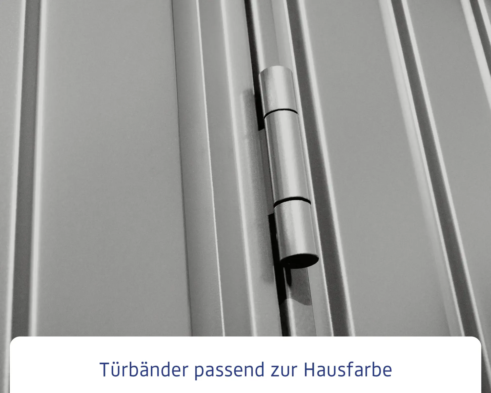 EcoStar Gerätehaus Trend-S Typ 2 258,8 x 247,7 x 216 cm graualuminium