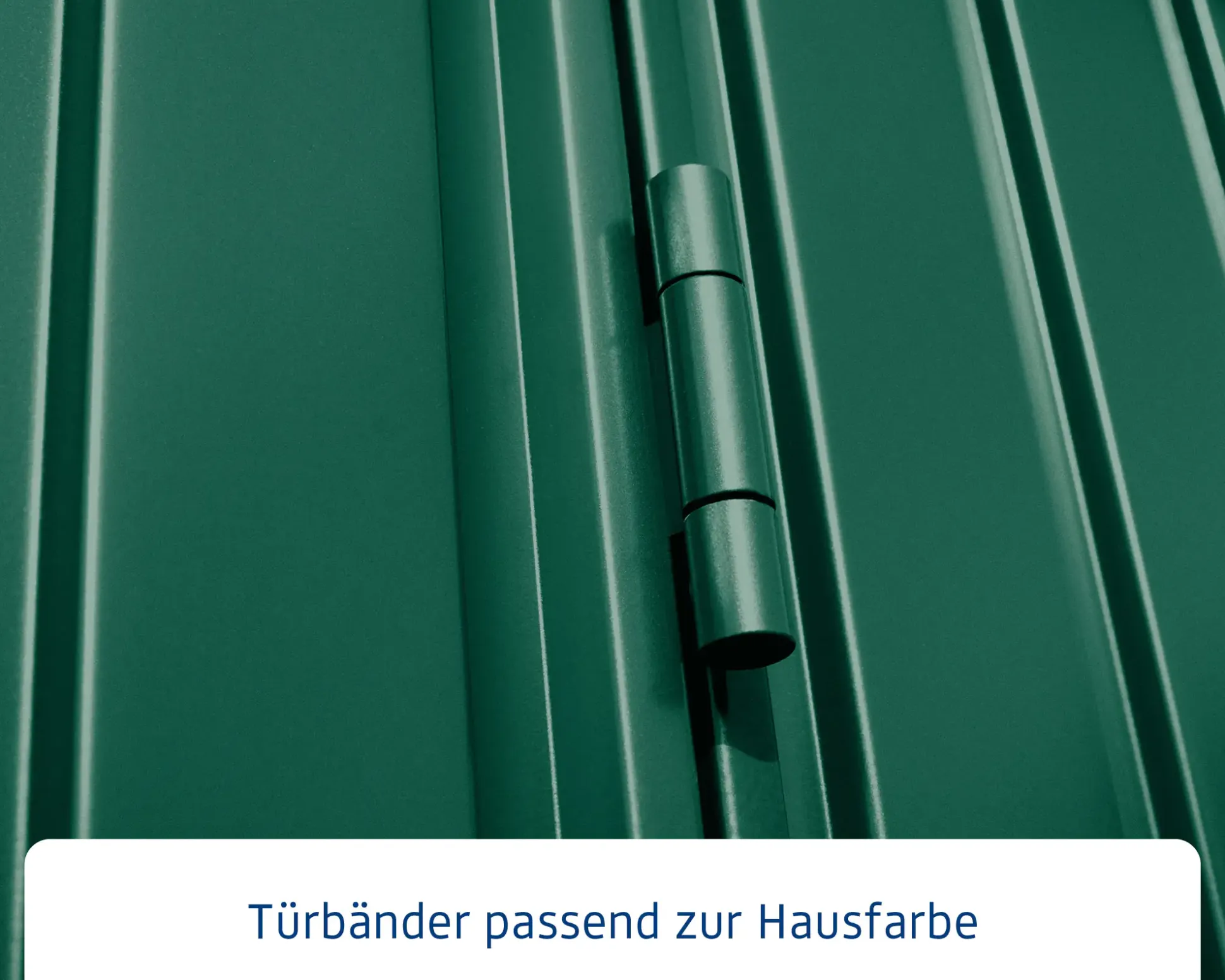 EcoStar Gerätehaus Trend-S Typ 3 323,6 x 247,7 x 219,4 cm moosgrün
