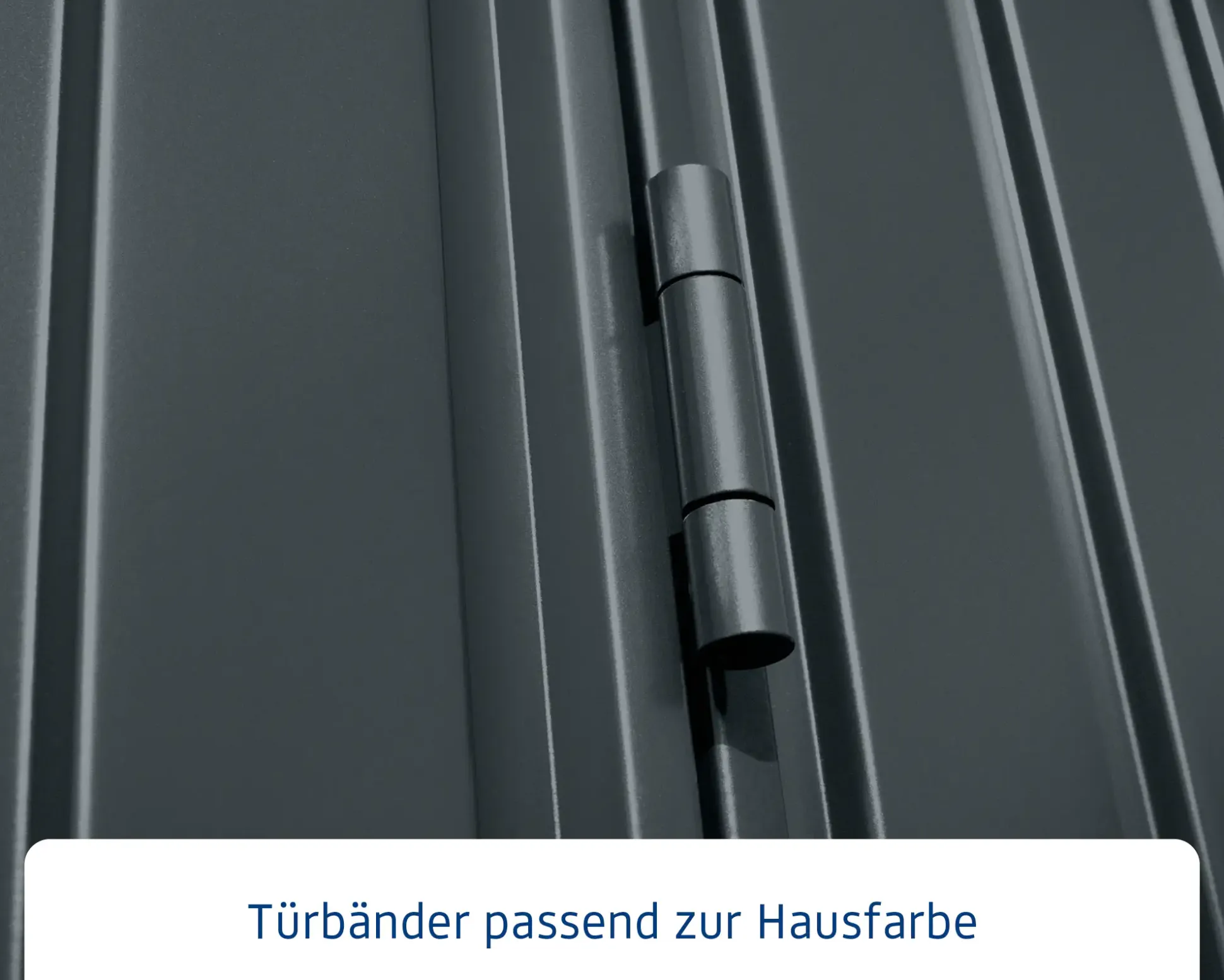 EcoStar Gerätehaus Trend-S Typ 3 323,6 x 247,7 x 219,4 cm anthrazitgrau