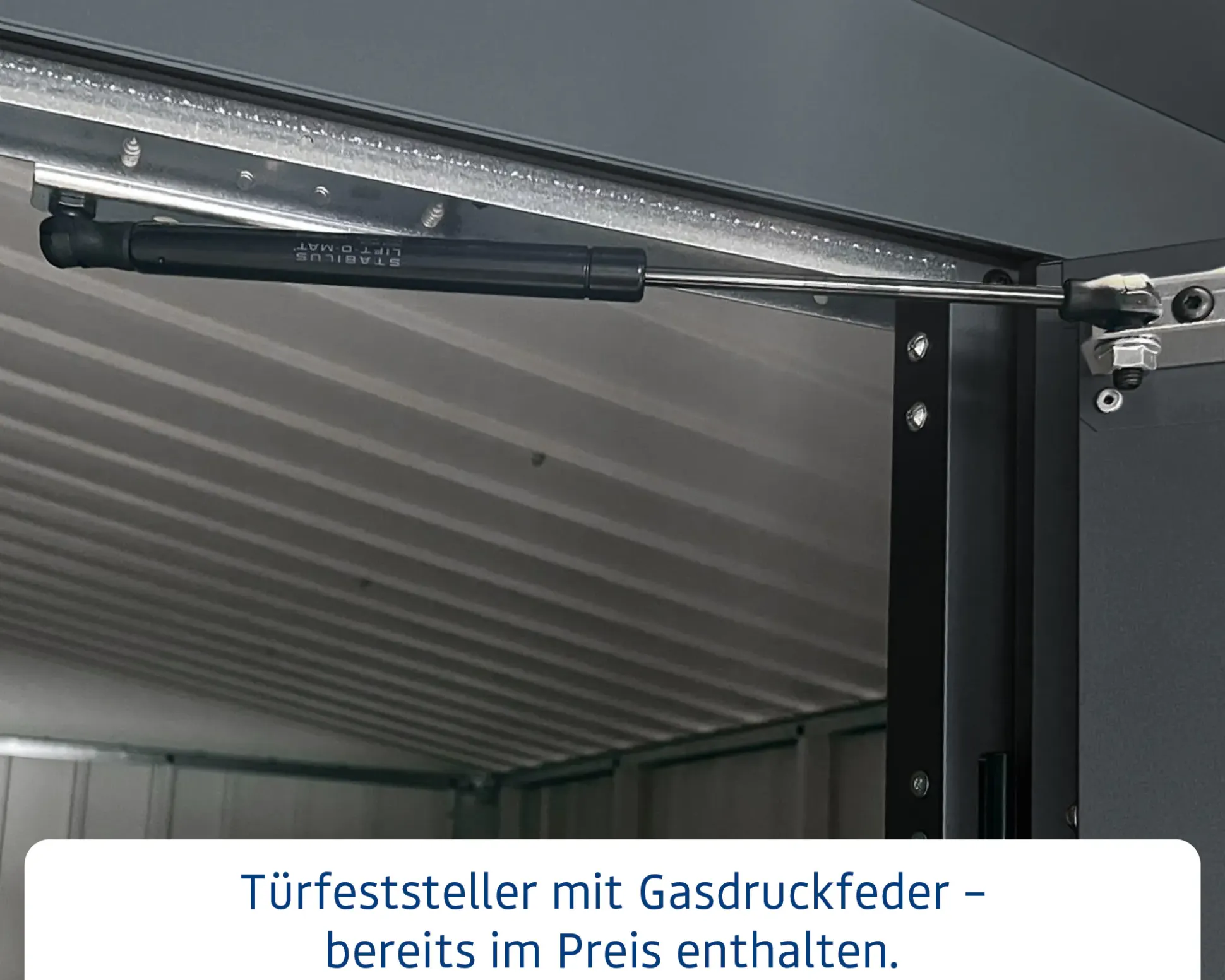 EcoStar Metallgerätehaus Euroline EFD14 LB anthrazit 310 x 310 cm 2-flg.