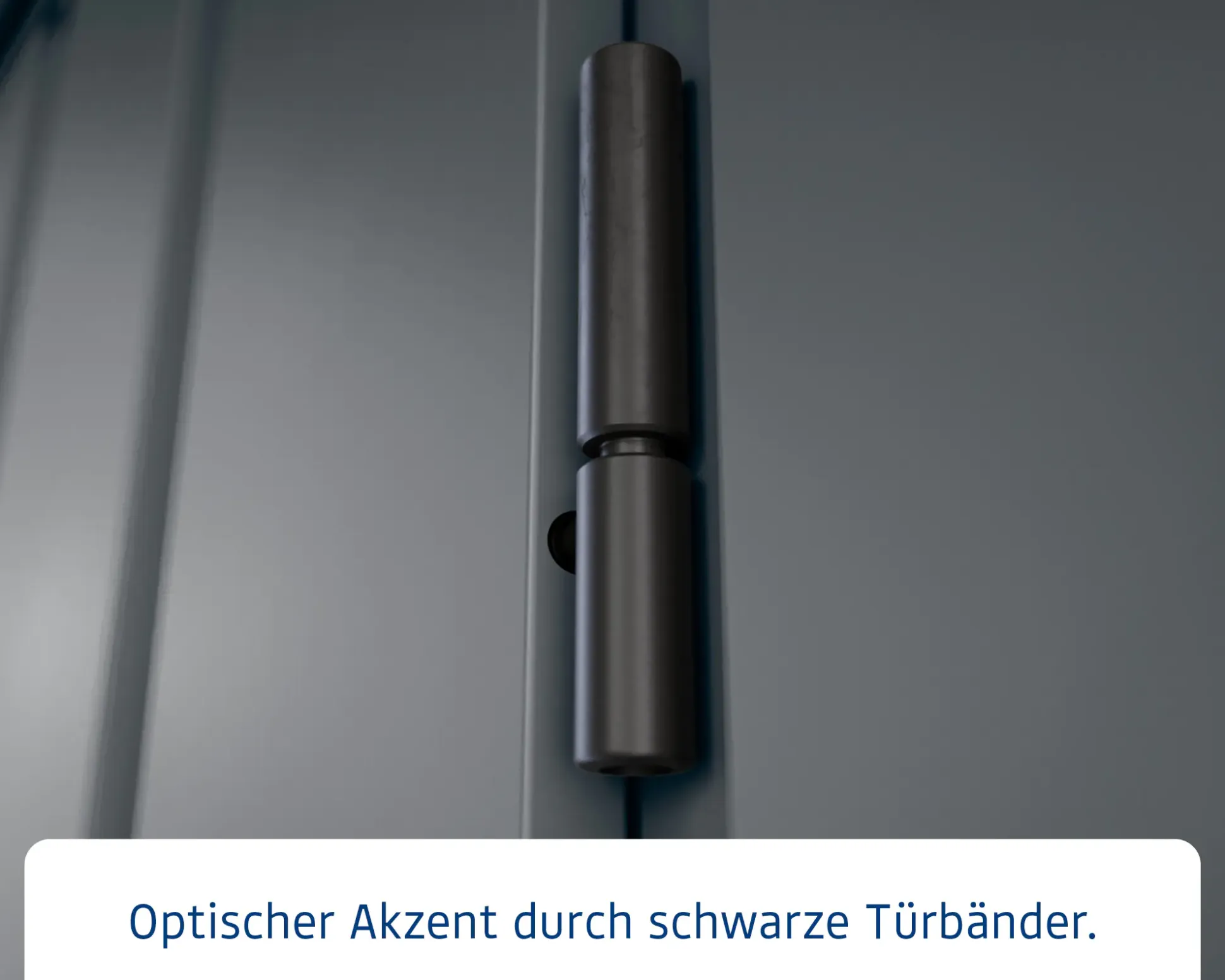 EcoStar Metallgerätehaus Euroline EFD14 LB anthrazit 310 x 310 cm 2-flg.