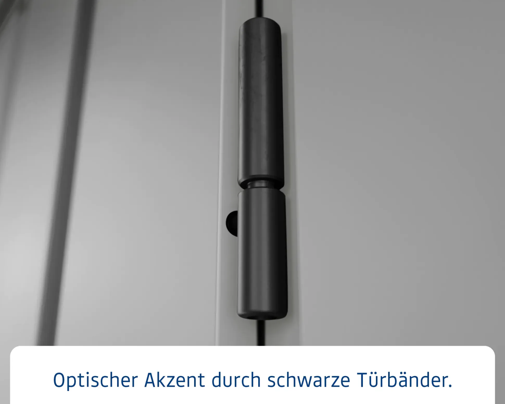 EcoStar Metallgerätehaus Euroline EFD7 LB graualuminium 214 x 310 cm 2-flg.