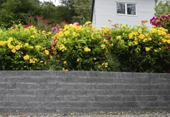EHL Mauerstein Anzio Light Halbstein 25 x 18 x 15 cm basalt-anthrazit