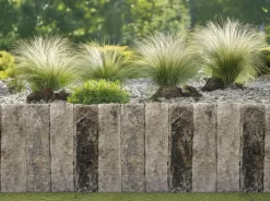 EHL Palisade Anzio Light 50 x 18 x 15 cm muschelkalk