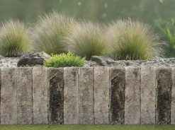 EHL Palisade Anzio Light 50 x 18 x 15 cm muschelkalk