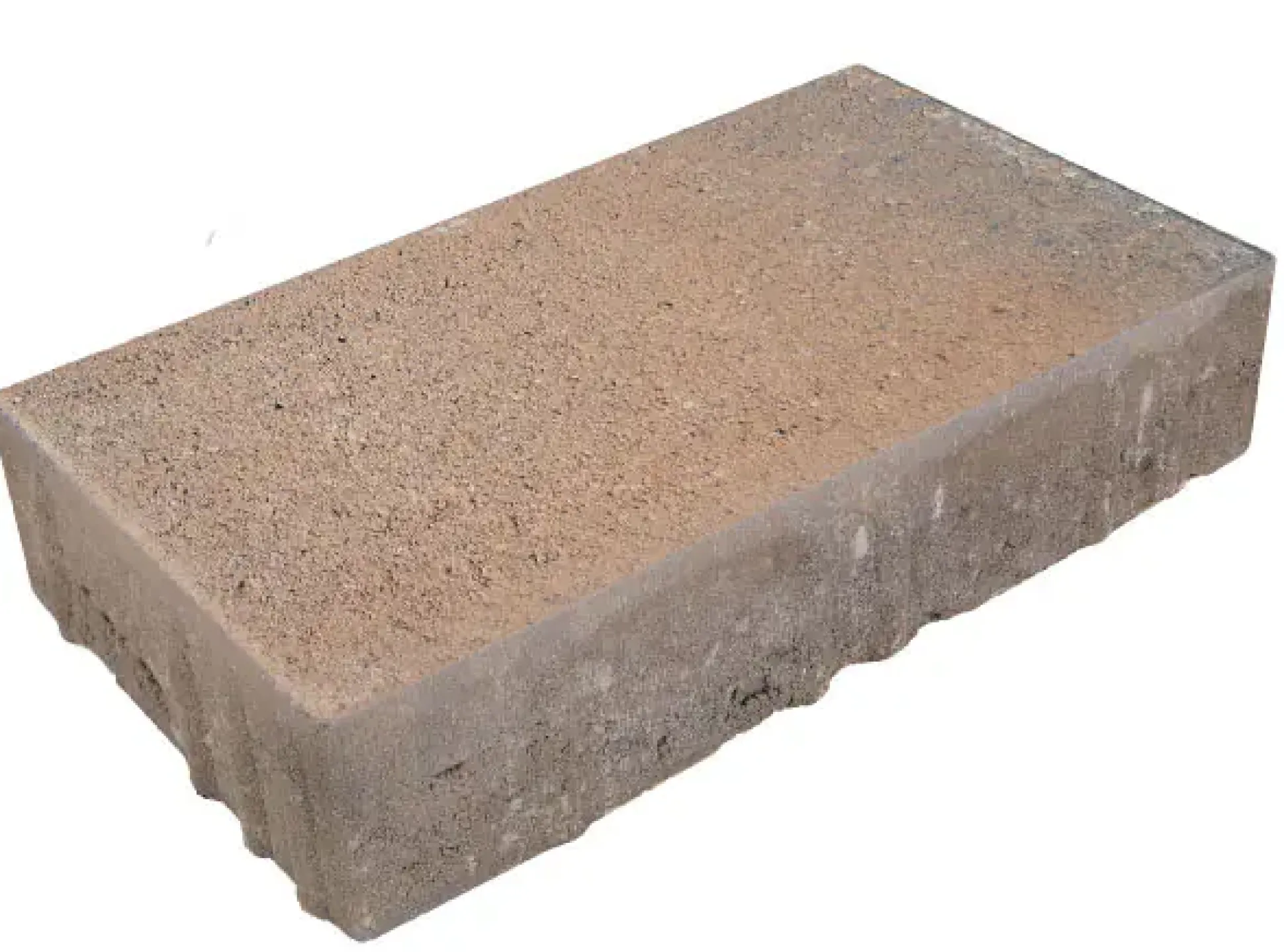 EHL Pflasterstein Veria 30 x 20 x 6 cm muschelcreme