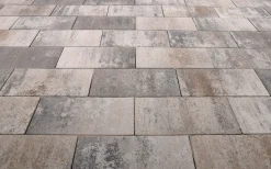EHL Terrassenplatte Artano 40 x 20 x 4 cm beige