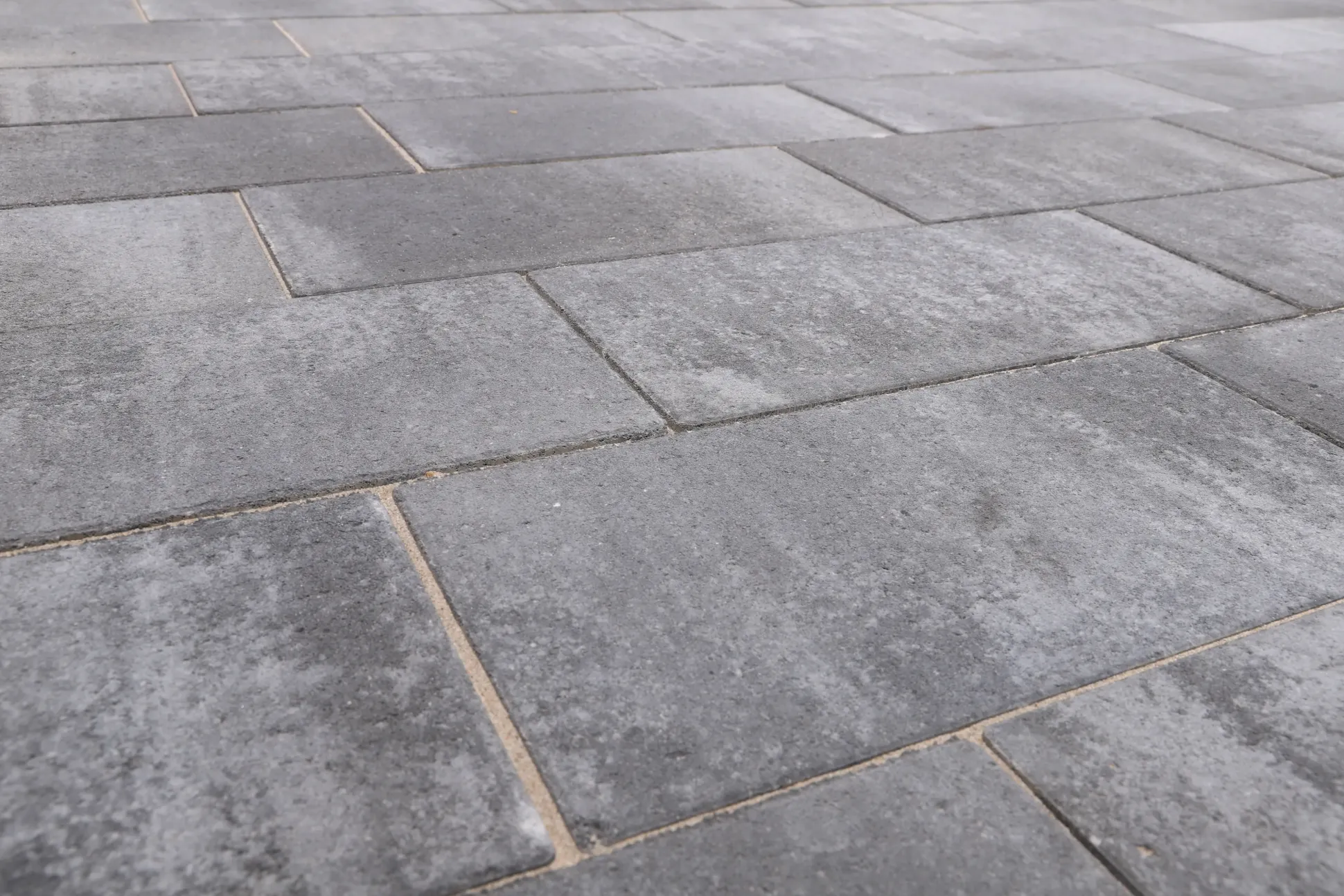 EHL Terrassenplatte Galano 60 x 30 x 4 cm grau anthrazit