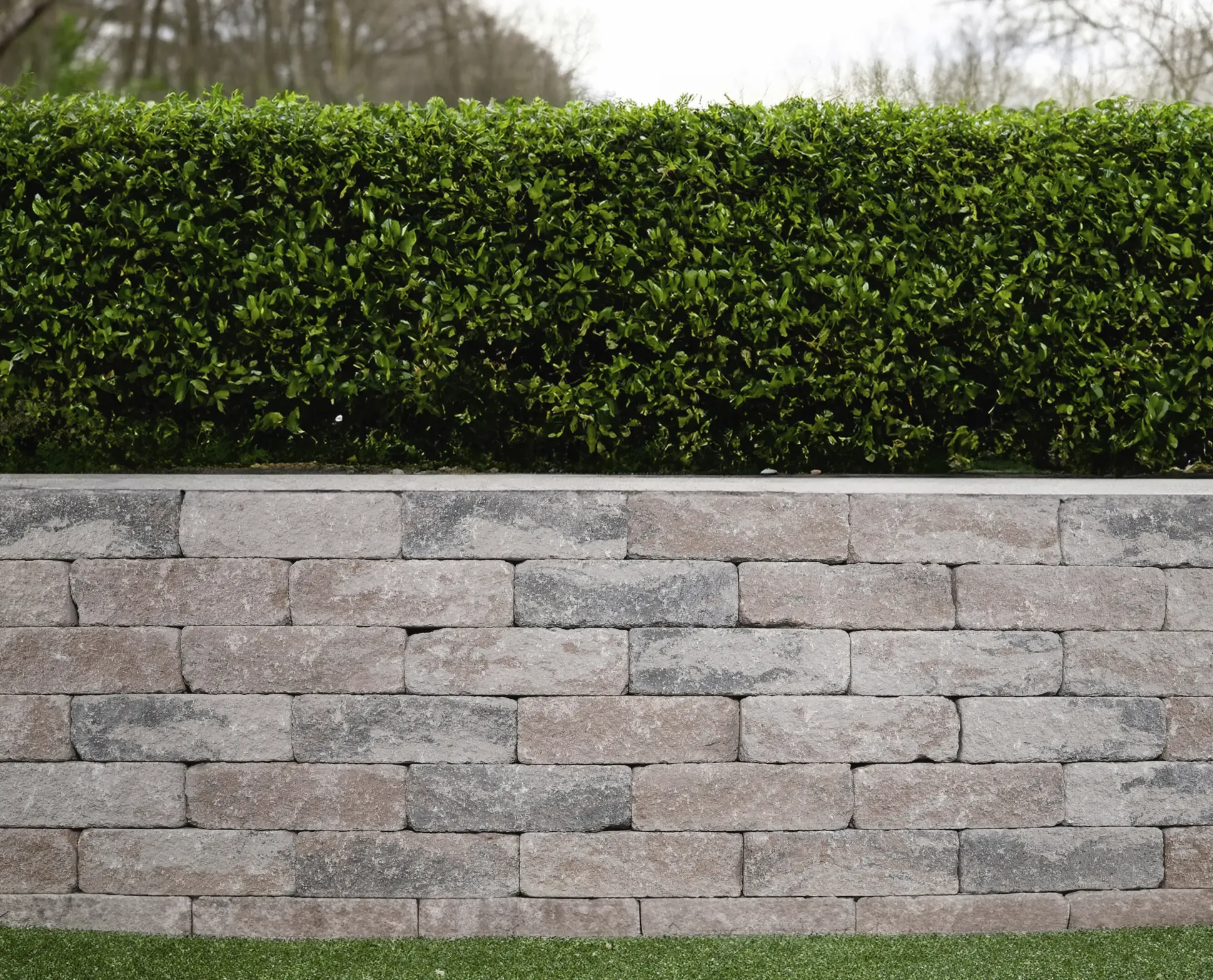EHL Mauerstein Anzio Antik Light Normalstein 50 x 18 x 15 cm muschelkalk