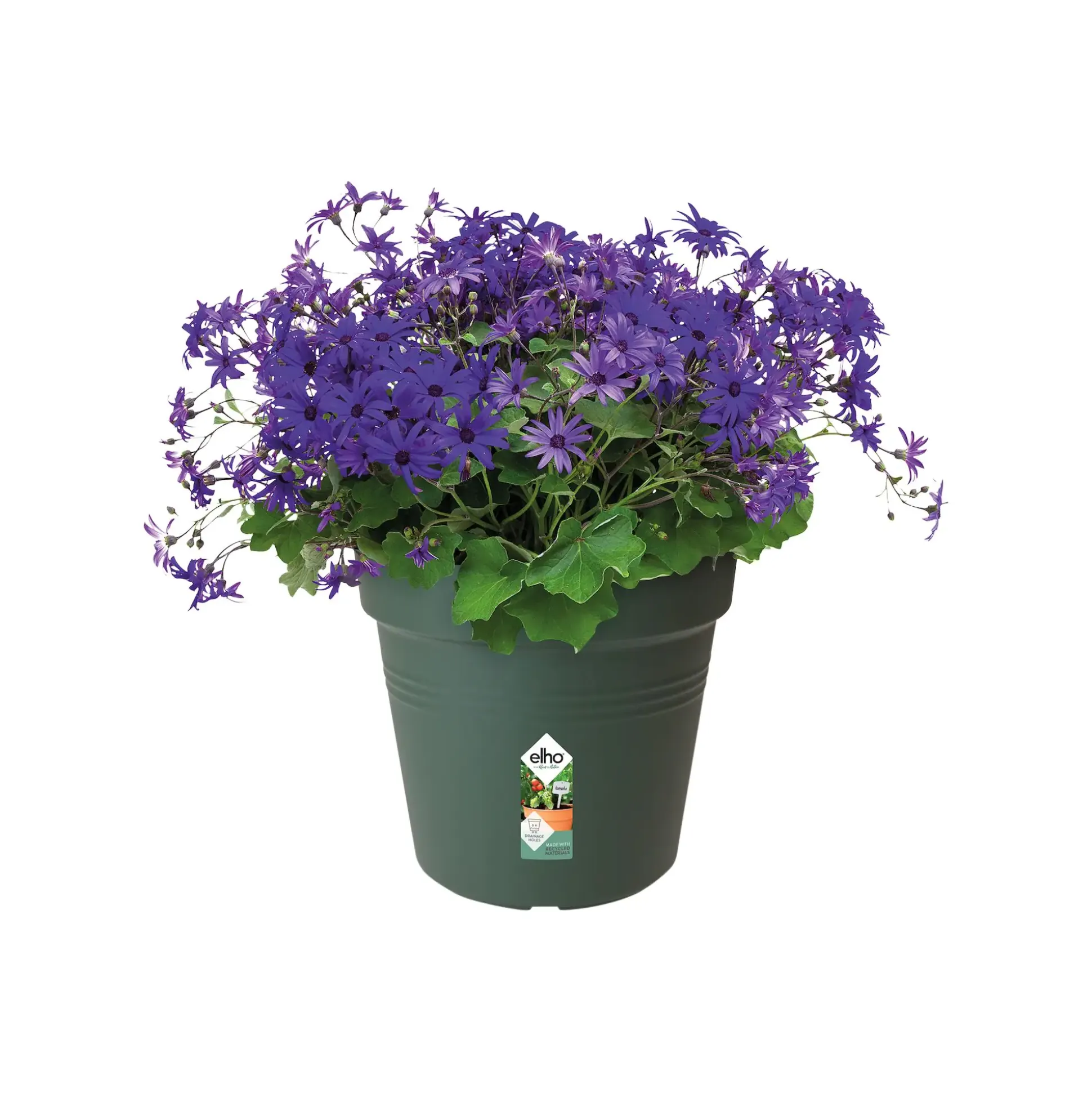 Elho Anzuchtstopf Green Basics Ø 15 cm grün