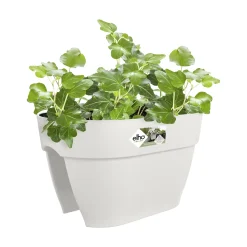Elho Blumenkasten Vibia Campana Flower Bridge 40 weiß