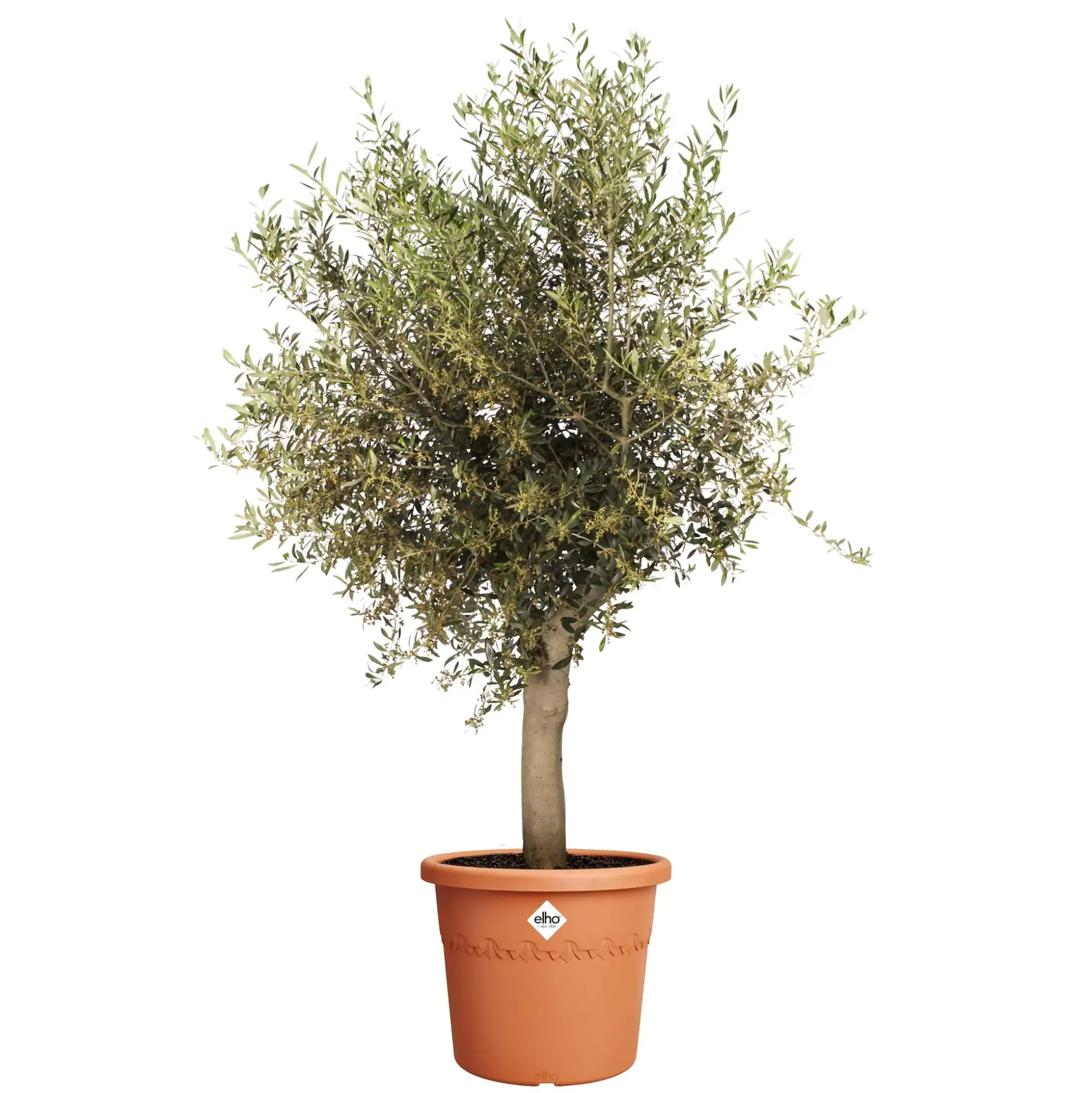 Elho Blumentopf Algarve Cilindro Ø 40 x 33 cm terra