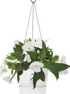 Elho Hängeampel Greenville weiß Ø 24 cm