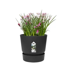 Elho Pflanztopf Greenville Ø 25 x 23 cm living schwarz