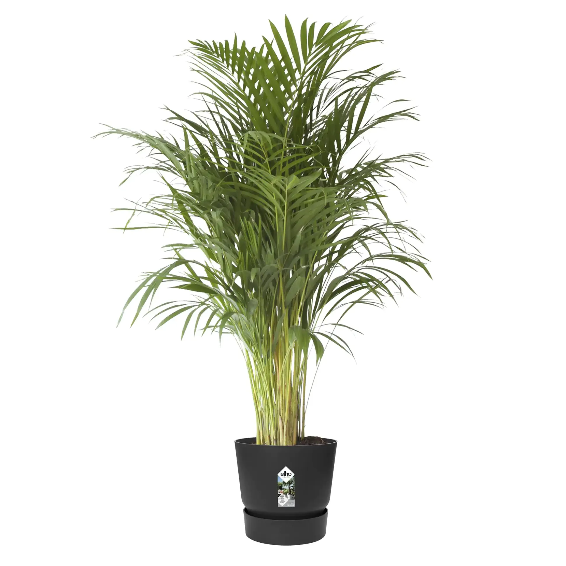 Elho Pflanztopf Greenville Ø 47 x 44 cm living schwarz
