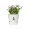 Elho Pflanztopf Greenville Ø 25 x 23 cm weiß