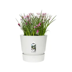 Elho Pflanztopf Greenville Ø 25 x 23 cm weiß