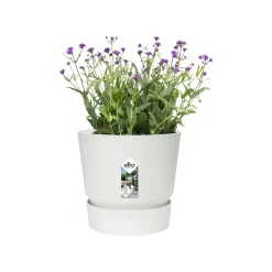 Elho Pflanztopf Greenville Ø 25 x 23 cm weiß