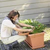 Elho Untersetzer Green Basics Garden XXL tonrot 80 cm