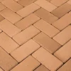 Eurostone Pflasterklinker Berlin 20 x 10 x 5,2 cm gelb bunt