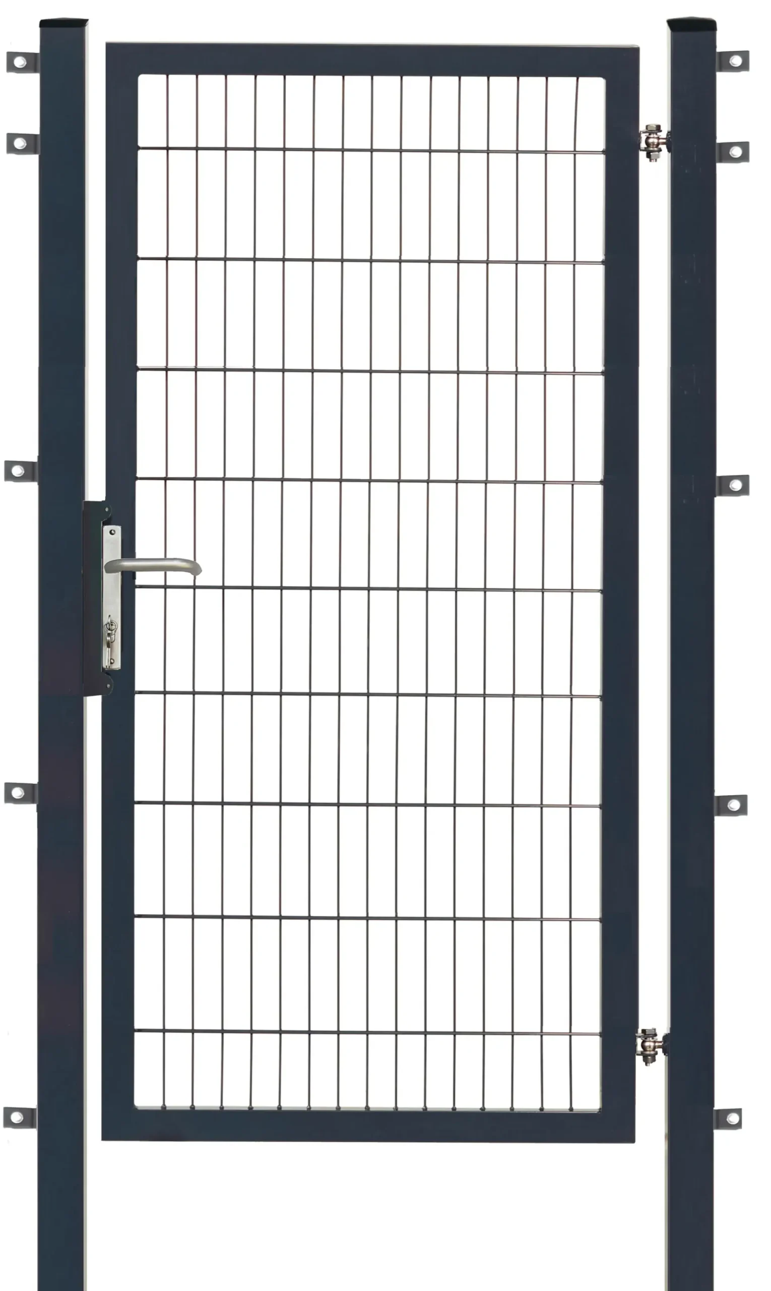 Floraworld Gartentor Premium 100 x 200 cm anthrazit