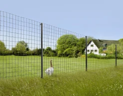 Floraworld Gitterzaun Comfort 25 x 1,52 m anthrazit