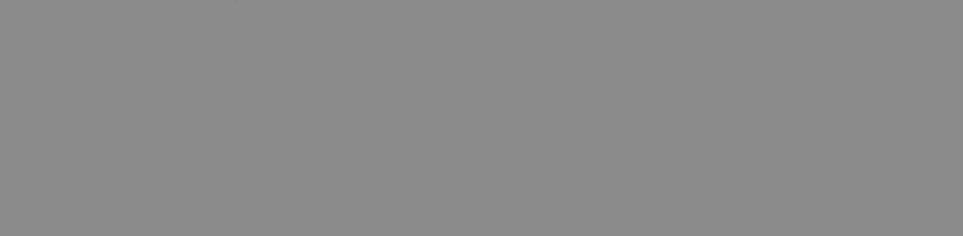Floraworld Sichtschutzstreifen Smooth 201,5 x 19 cm grau - 5 Stk.