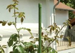 Floraworld Stahlrohr-Pflanzstab grün 270 cm