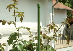 Floraworld Stahlrohr-Pflanzstab grün 270 cm