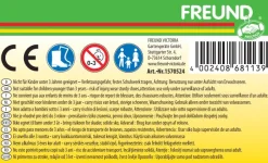 Freund Victoria Deko-Gießkanne 1,75 L Metall bunt