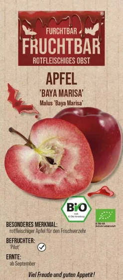 Fruchtbar Obstbaum Apfel Baya Marisa H 150 cm 29 cm Topf
