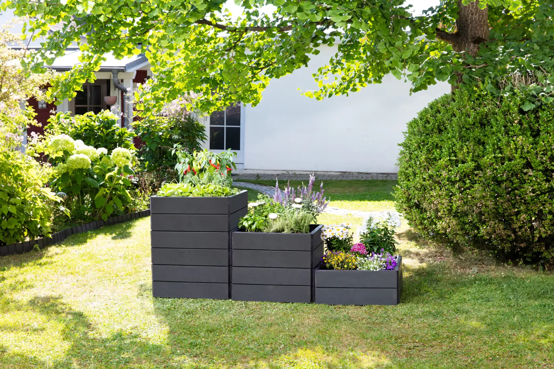 Garantia Hochbeet Ergo Quadro S 60 x 60 x 25 cm (L x B x H)