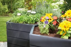 Garantia Hochbeet Ergo XL 75 mit FLORA-Wassersparsystem, 145 x 75 cm