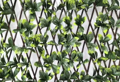 Garden Deluxe Living Dekozaun Bayberry 100 x 200 cm