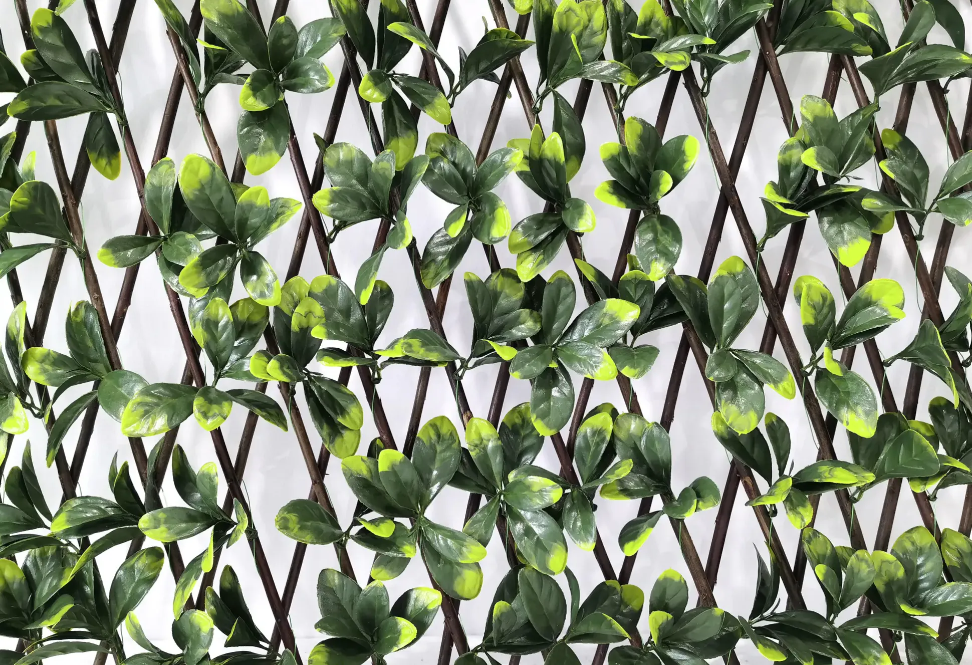 Garden Deluxe Living Dekozaun Bayberry 100 x 200 cm