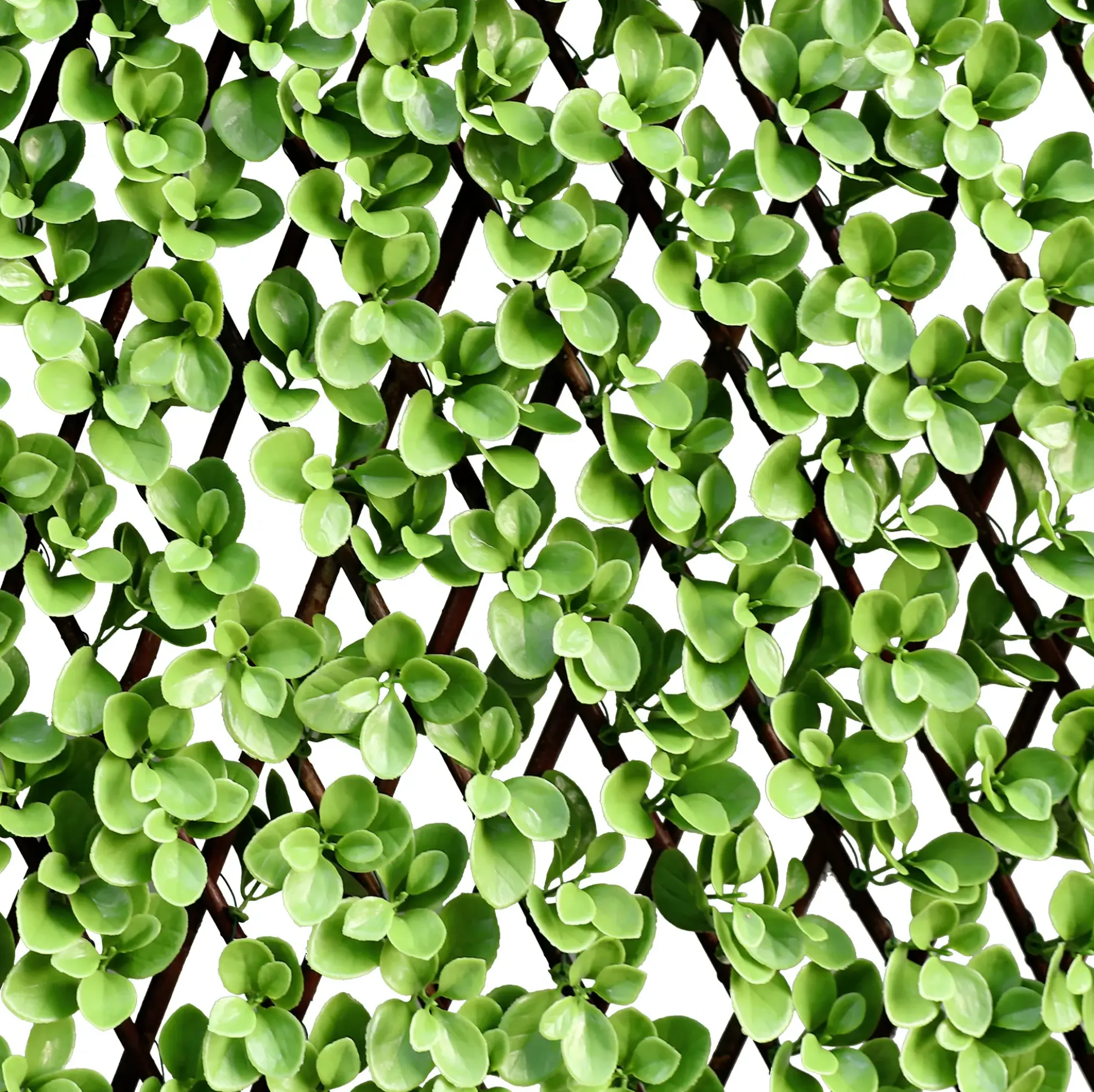 Garden Deluxe Living Dekozaun Jadeblatt 100 x 200 cm