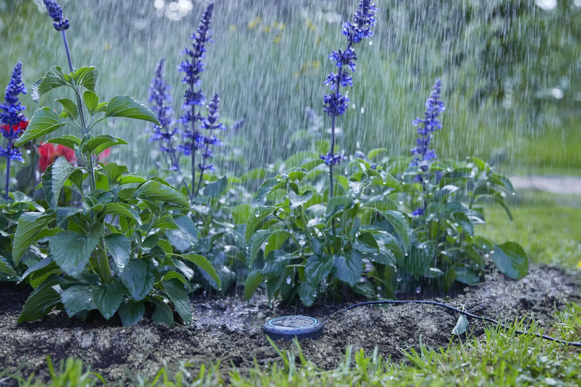 Gardena Bodenfeuchtesensor 01867-20