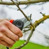 Gardena Gartenschere ExpertCut max. Aststärke Ø 22 mm