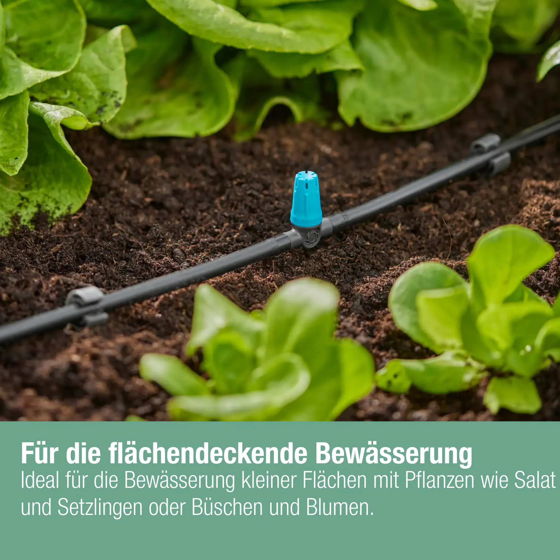 Gardena Kleinflächendüse